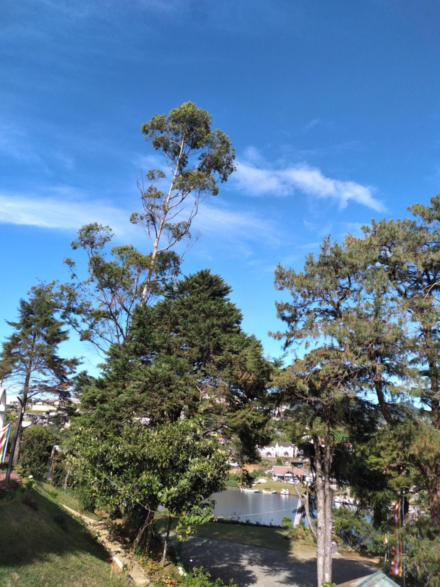 Eco Creations Nuwaraeliya Hotel นูวาราเอลิยา ภายนอก รูปภาพ